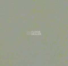 Линолеум Forbo Marmoleum Decibel on Order 373635 green shimmer фото 1 | FLOORDEALER